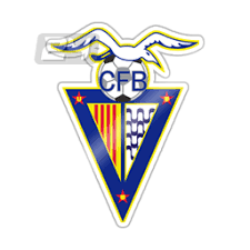 巴达隆拿队标,巴达隆拿图片