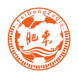 肥东县队标,肥东县图片